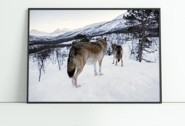 Misty Mountain Fika Magazine