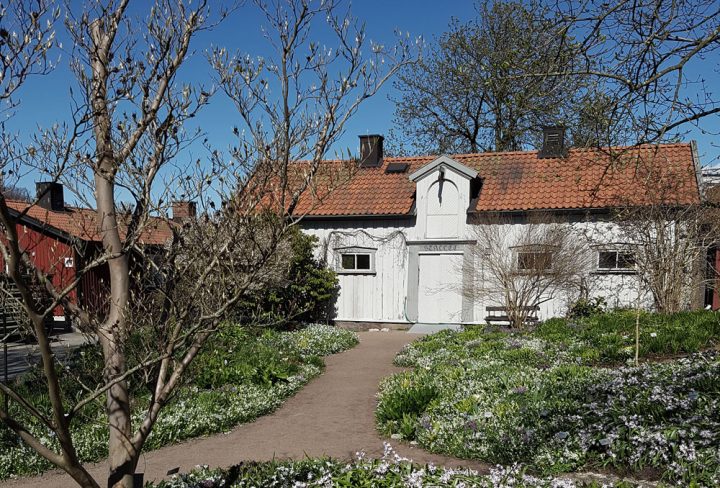 Botaniska Trädgård Fika Magazine