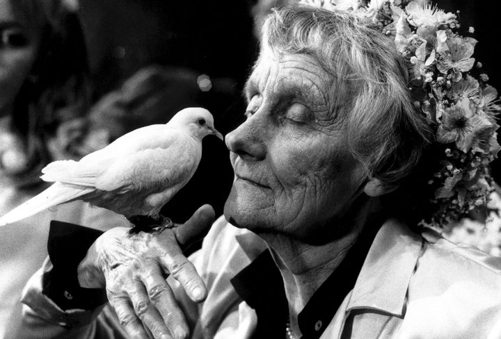 Astrid Lindgren Fika Magazine