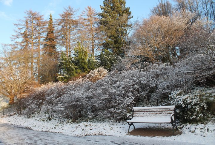 Bezienswaardigheden Goteborg