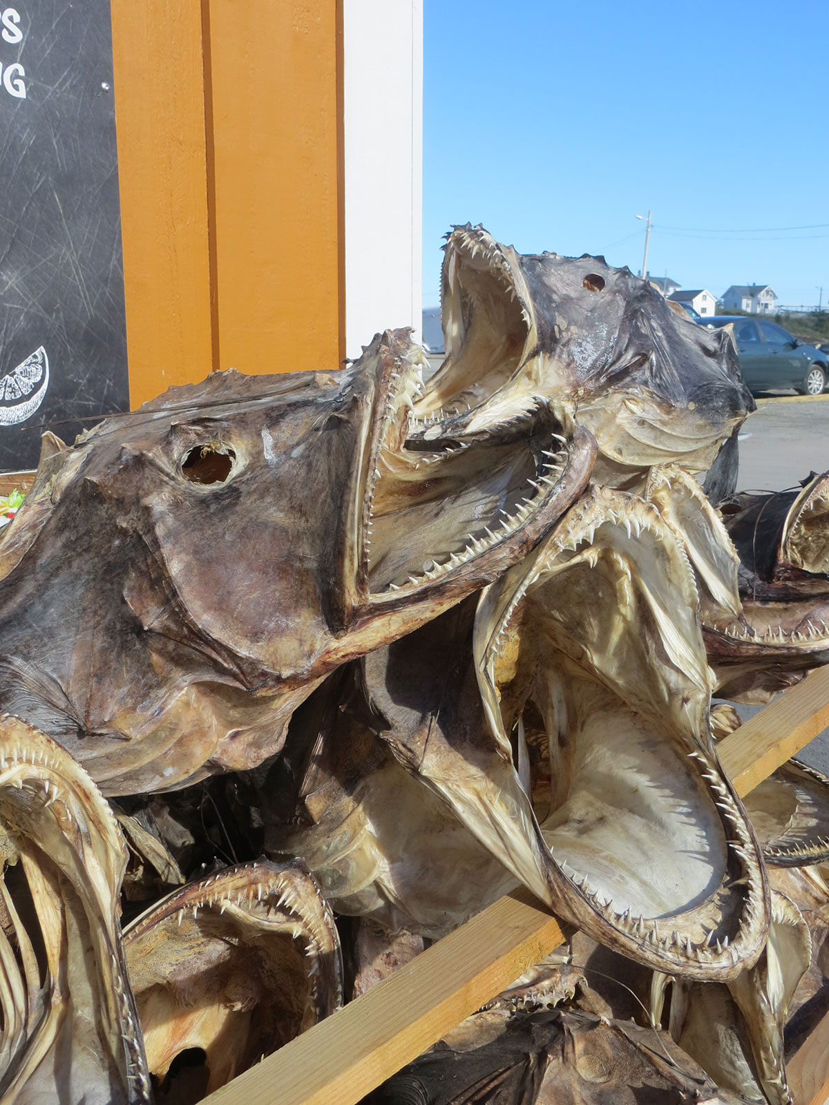 Lofoten Fika Magazine