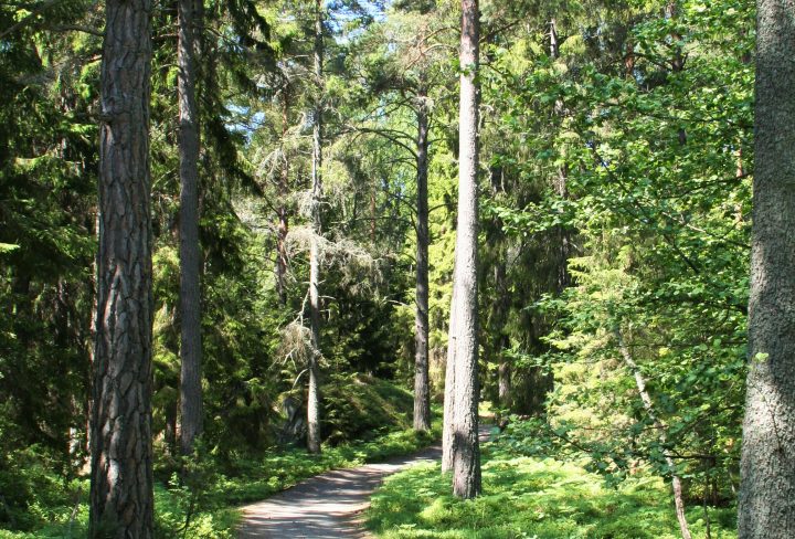 Natuur in Finland Fika Magazine