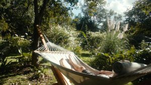 friluftsliv  buitenleven