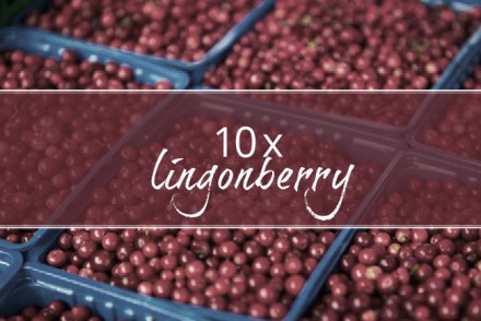lingonberry fika magazine