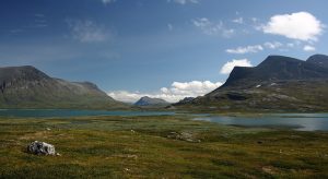 wildkamperen zweden