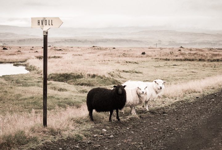 IJslandse taal Fika Magazine