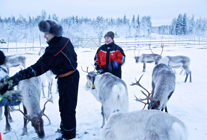 vakantie lapland fika magazine